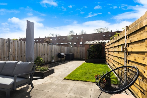 Scholekster 41_27.jpg